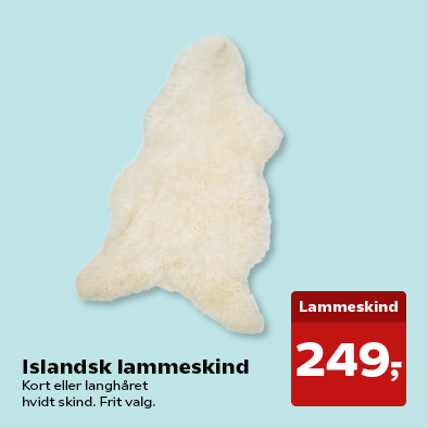 Islandsk lammeskind